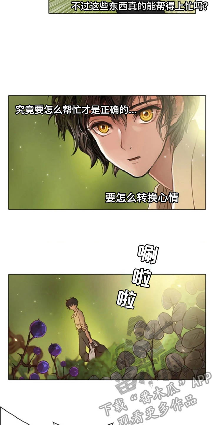 第26章：礼物12