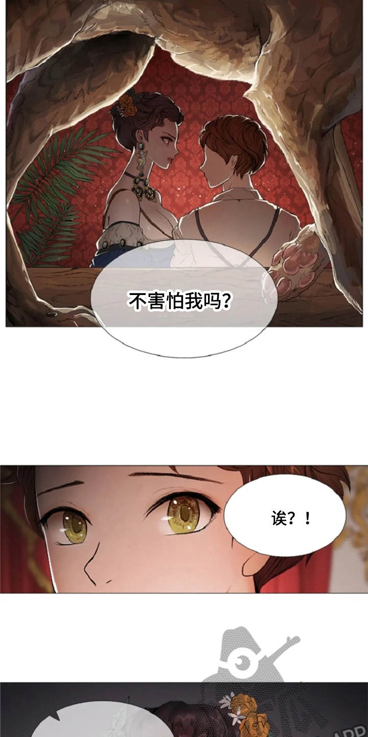 第13章：一样的想法14