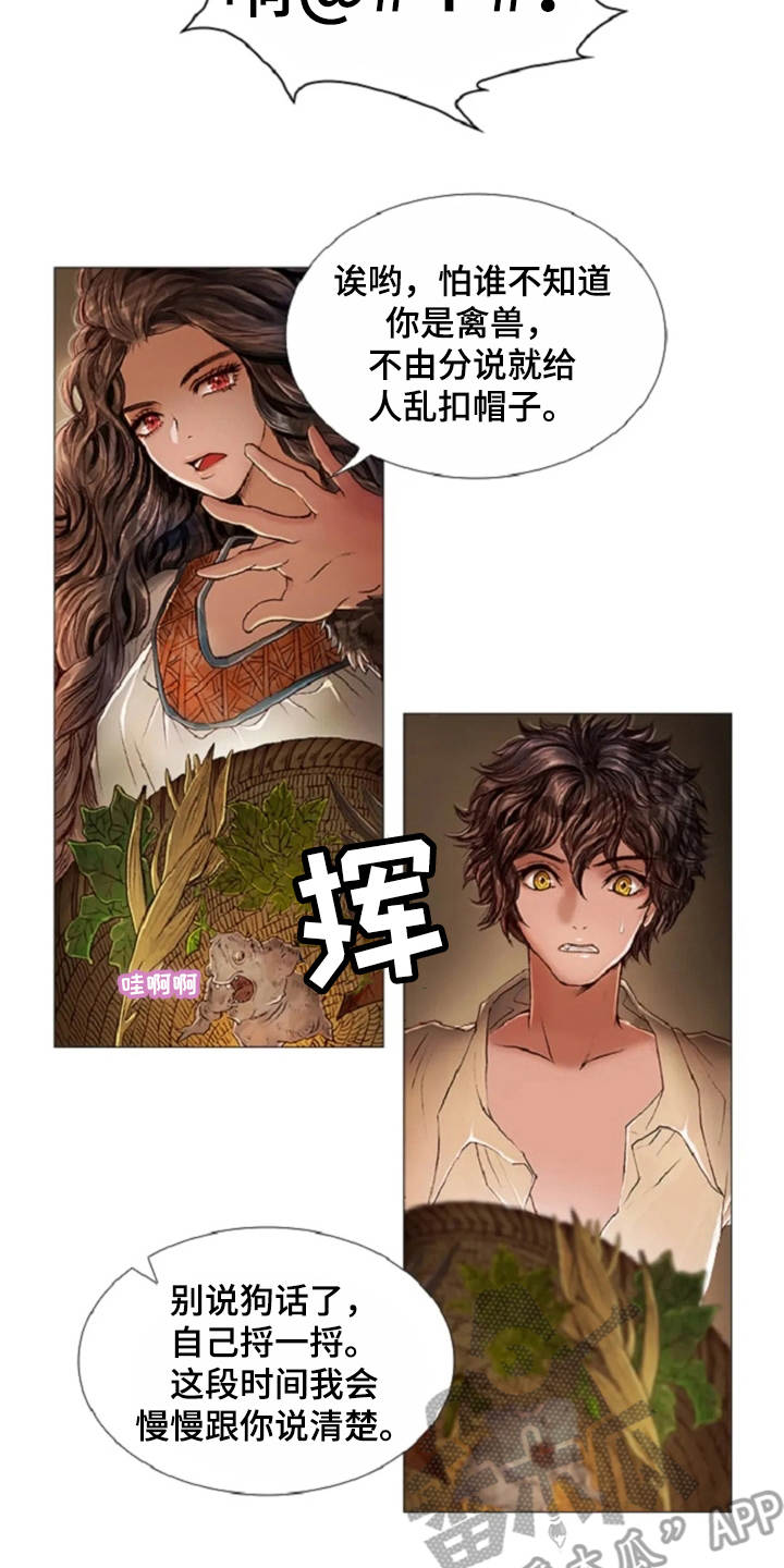 第25章：魔女的约定13