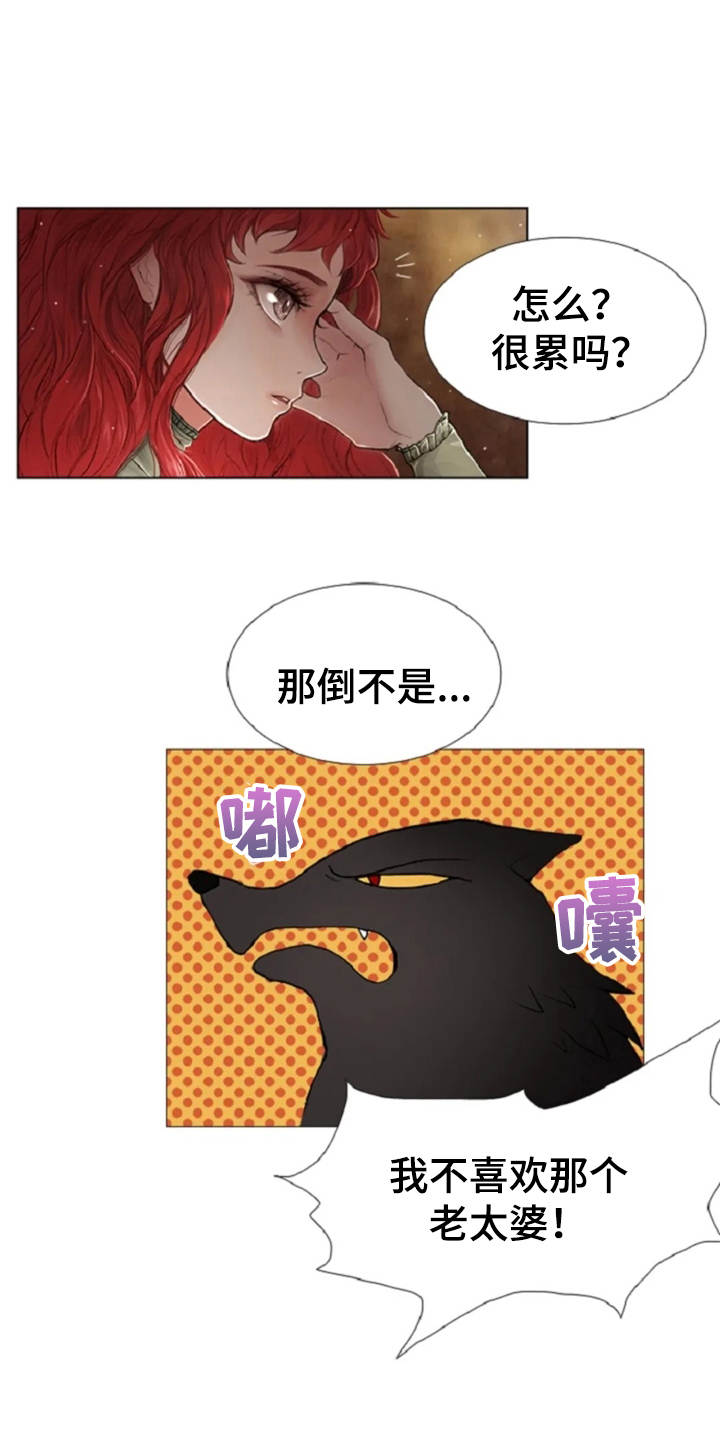 第17章：嘲讽4