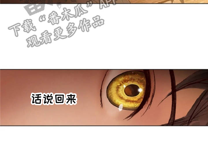 第17章：嘲讽11