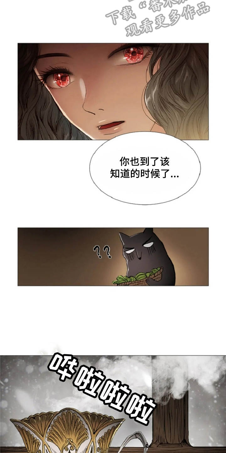 第25章：魔女的约定14