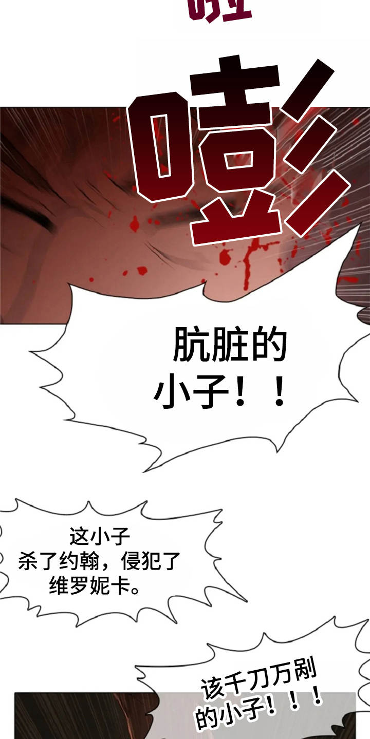 第21章：误解21
