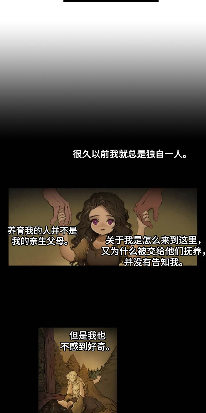 第3章：闪耀的星星14