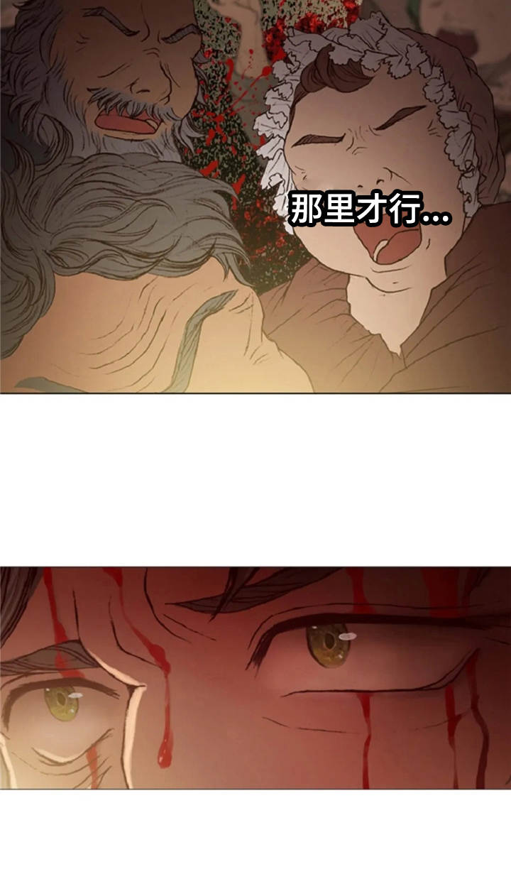 第21章：误解24