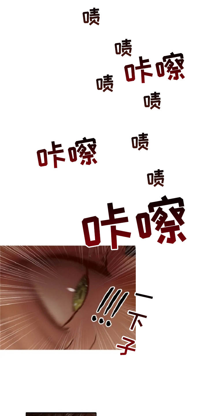 第21章：误解2