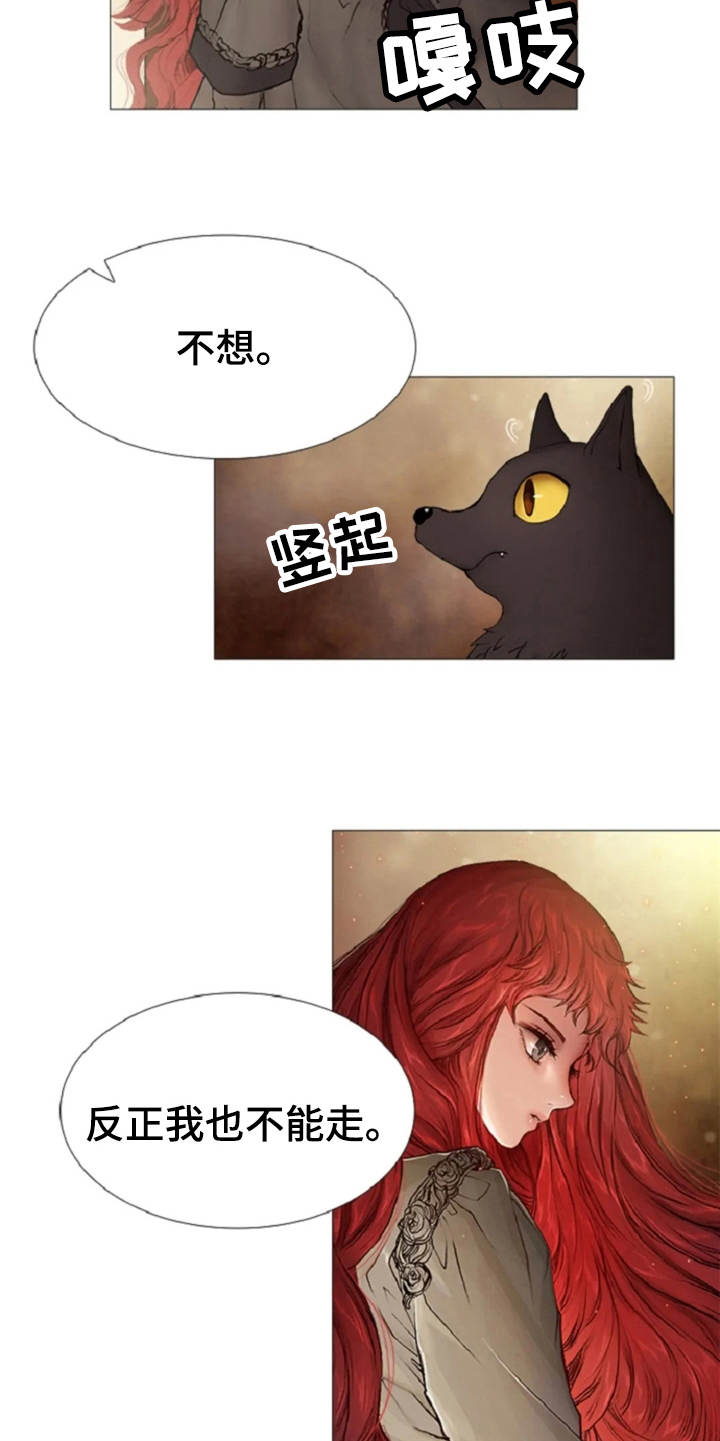 第17章：嘲讽16