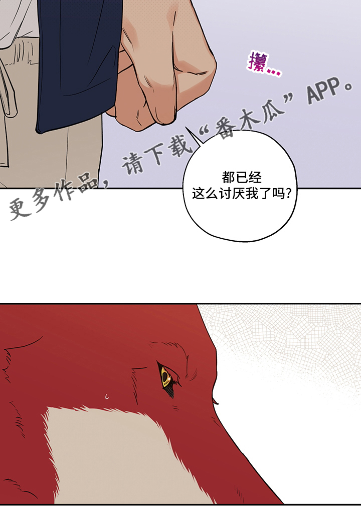 第93章：出去走走吧16