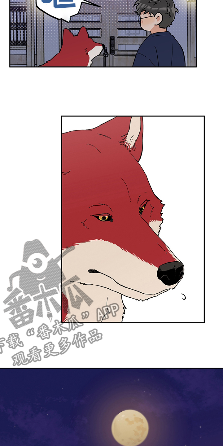 第93章：出去走走吧8