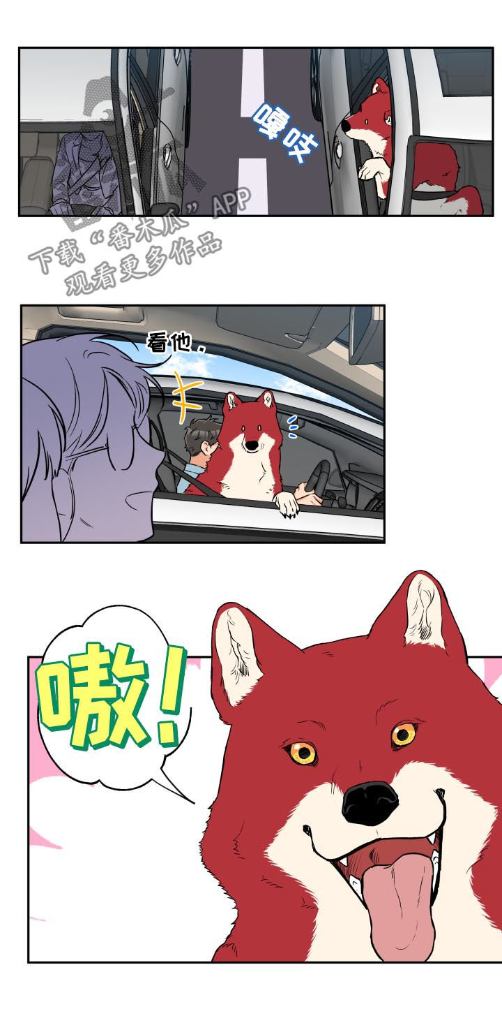 第58章：你现在很像狗11