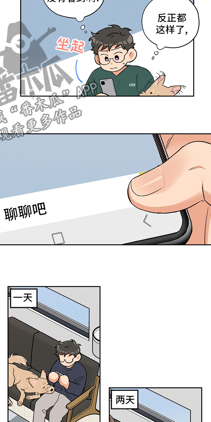 第91章：聊聊吧10