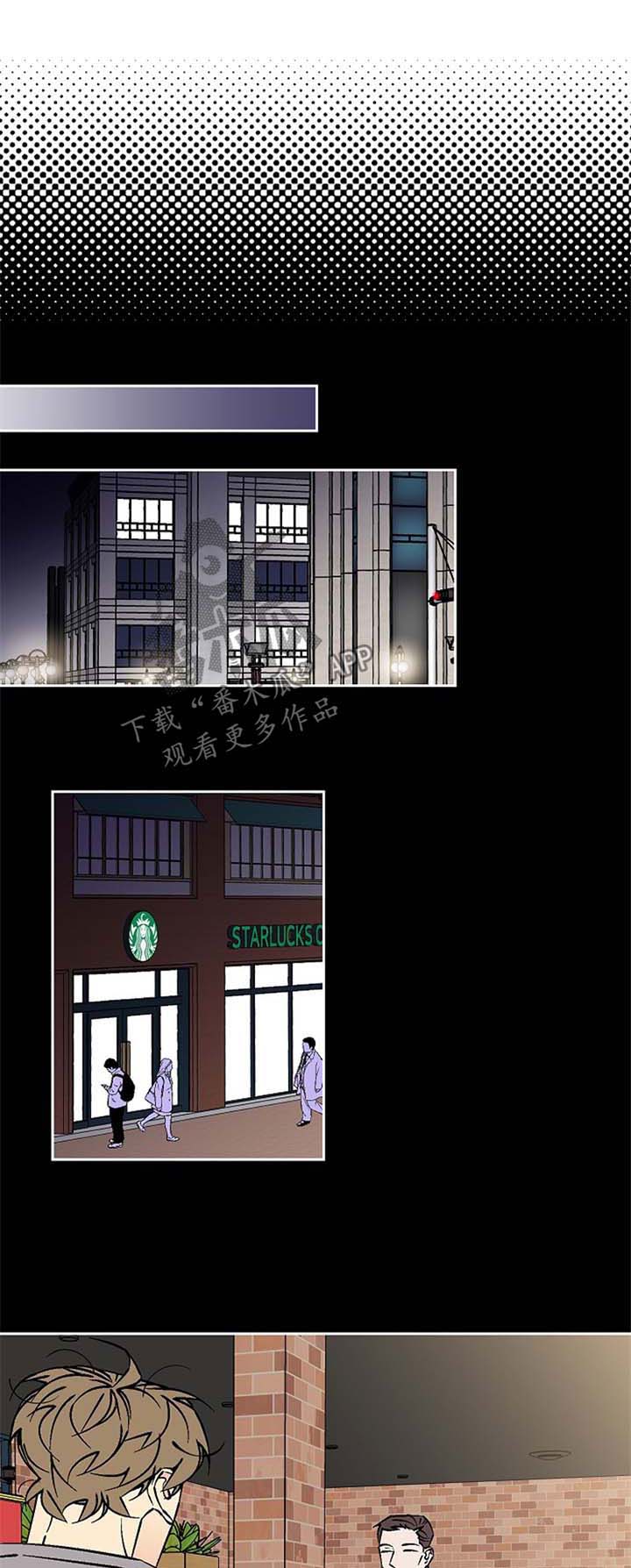 第71章：龙舌兰0