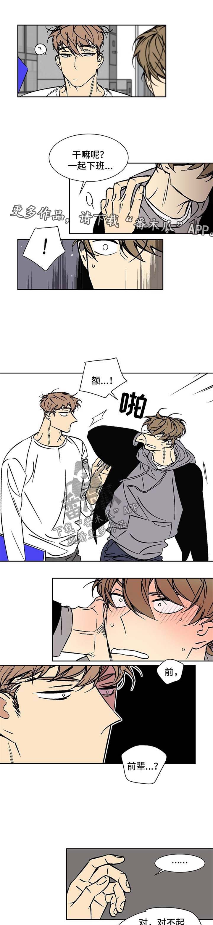 第44章：调查3