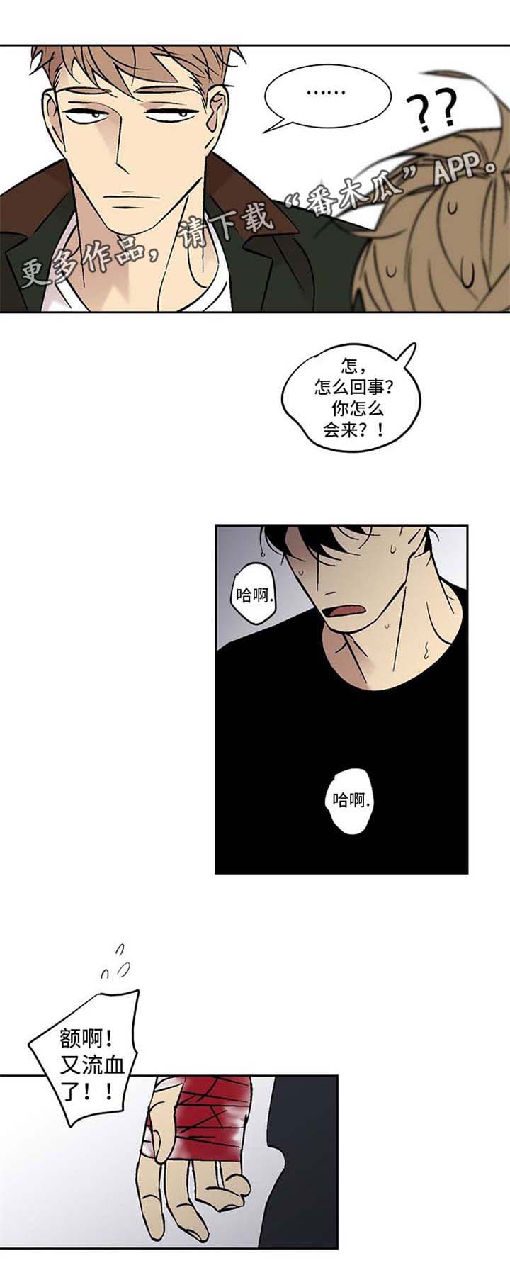 第86章：秘密0