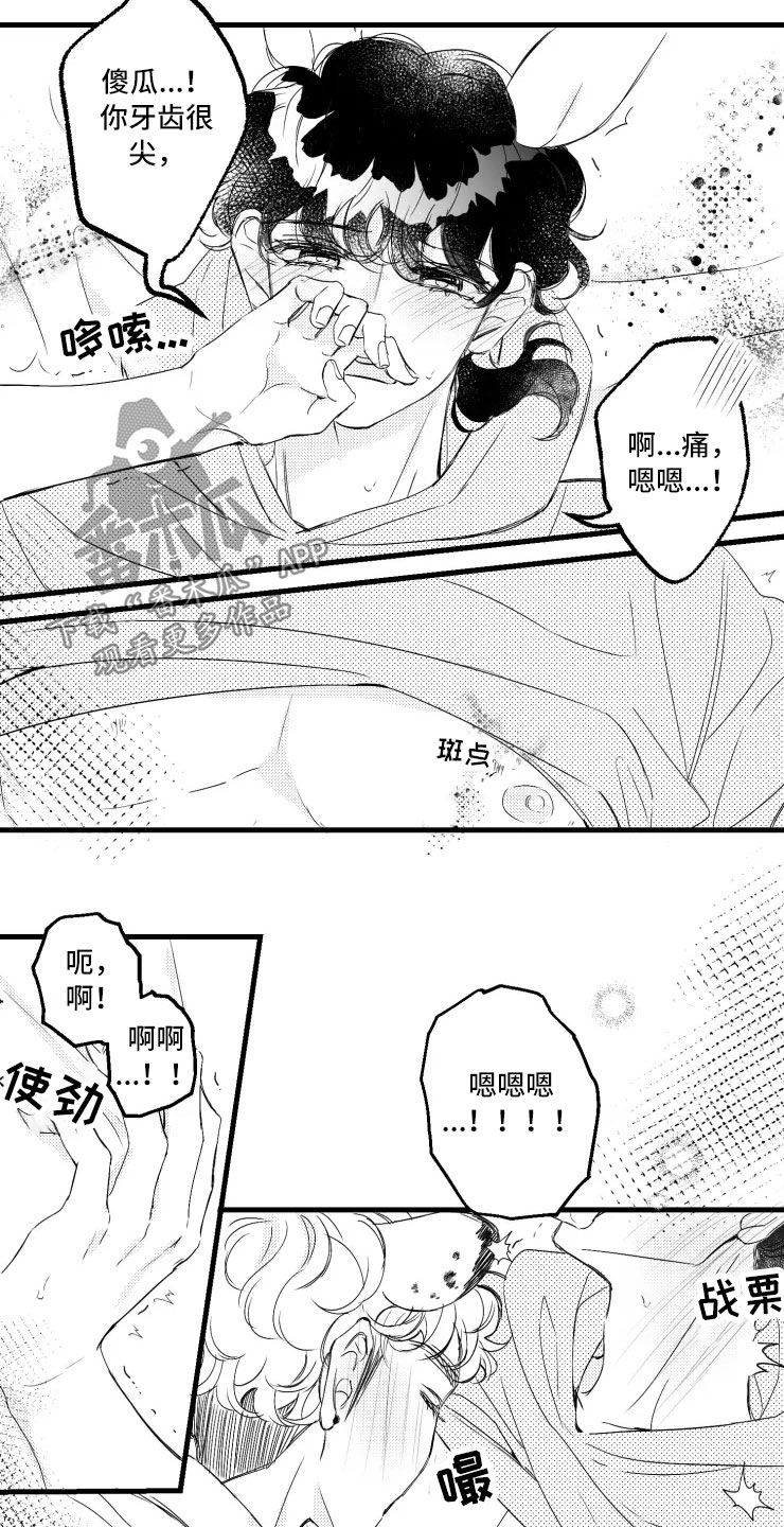 第47章：选修课15