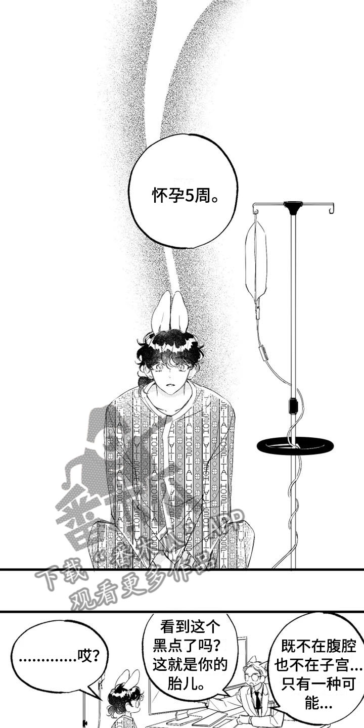 第5章：奇迹0