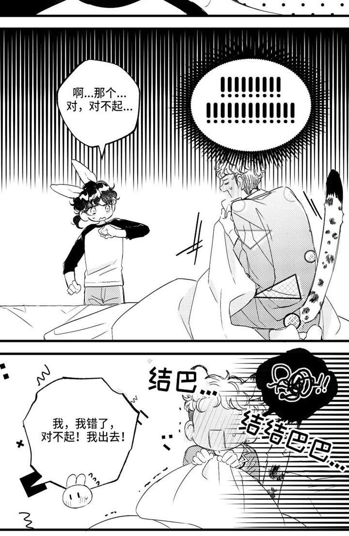 第13章：错了10