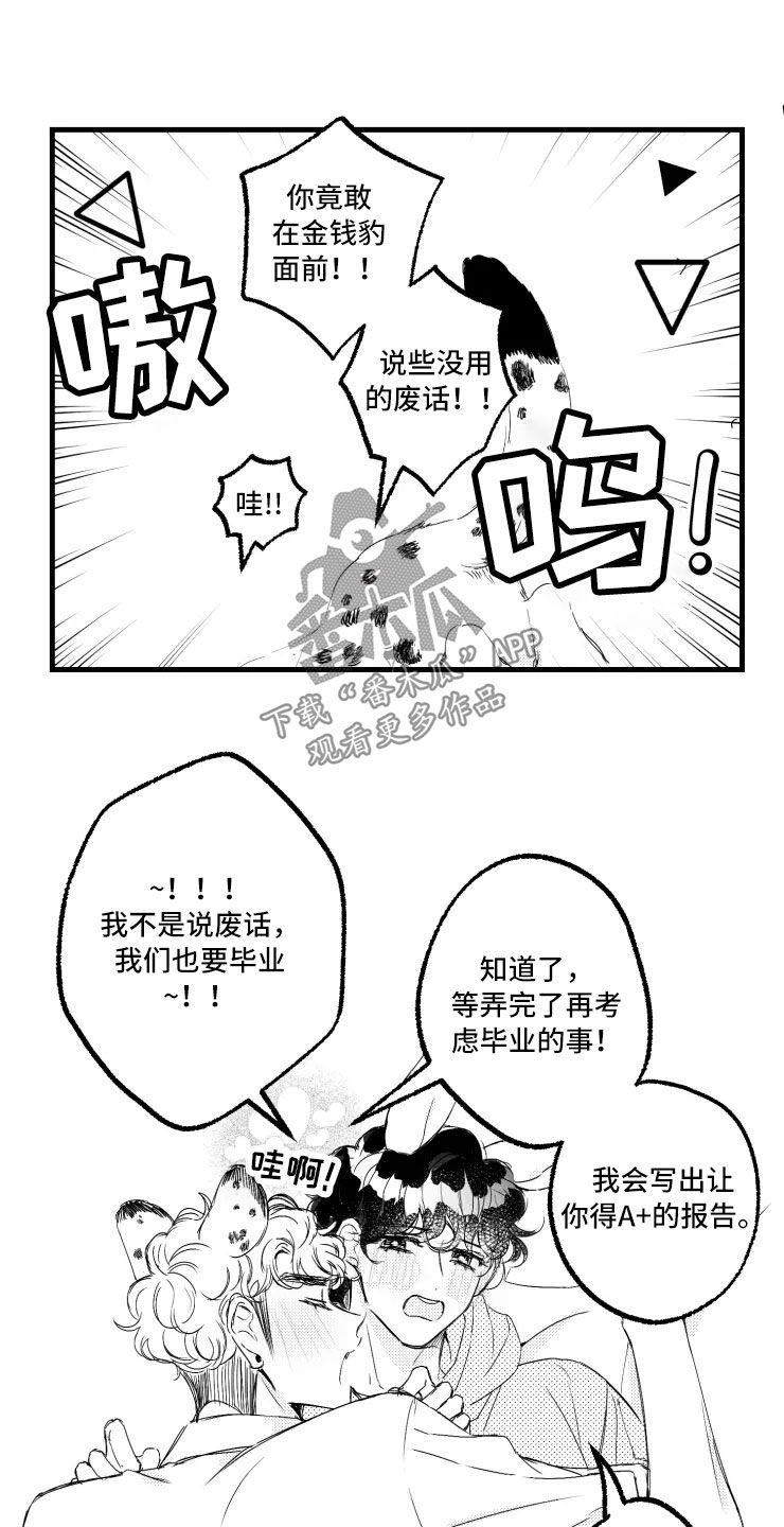 第47章：选修课11
