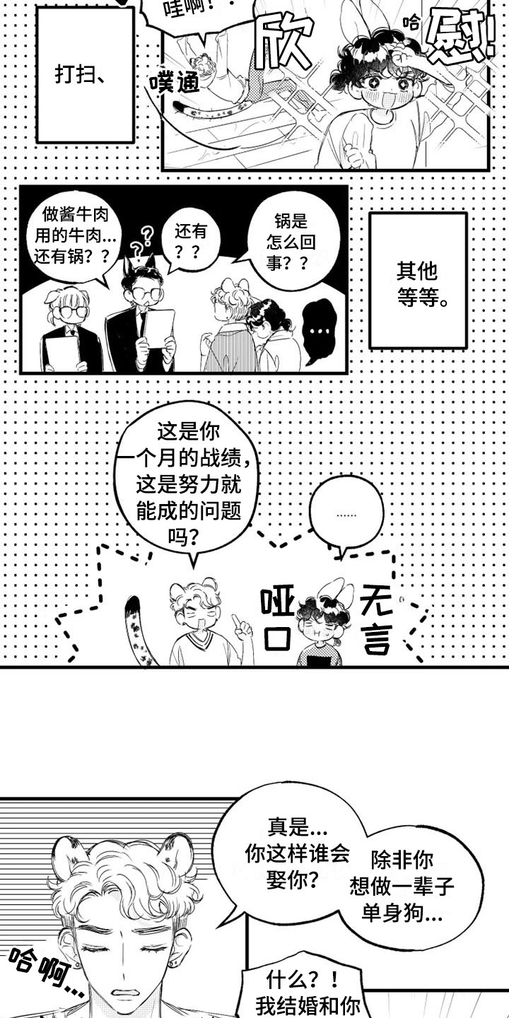 第7章：家务8