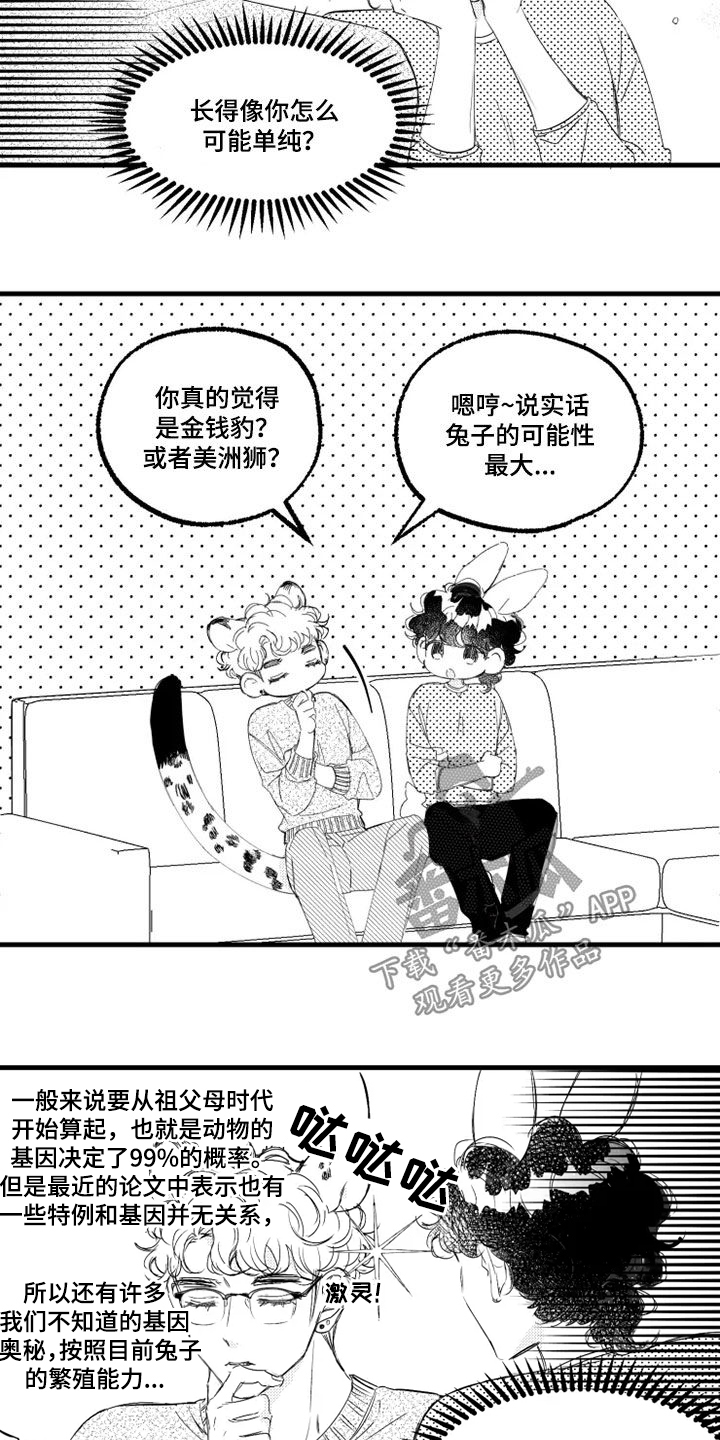 第53章：赌局10
