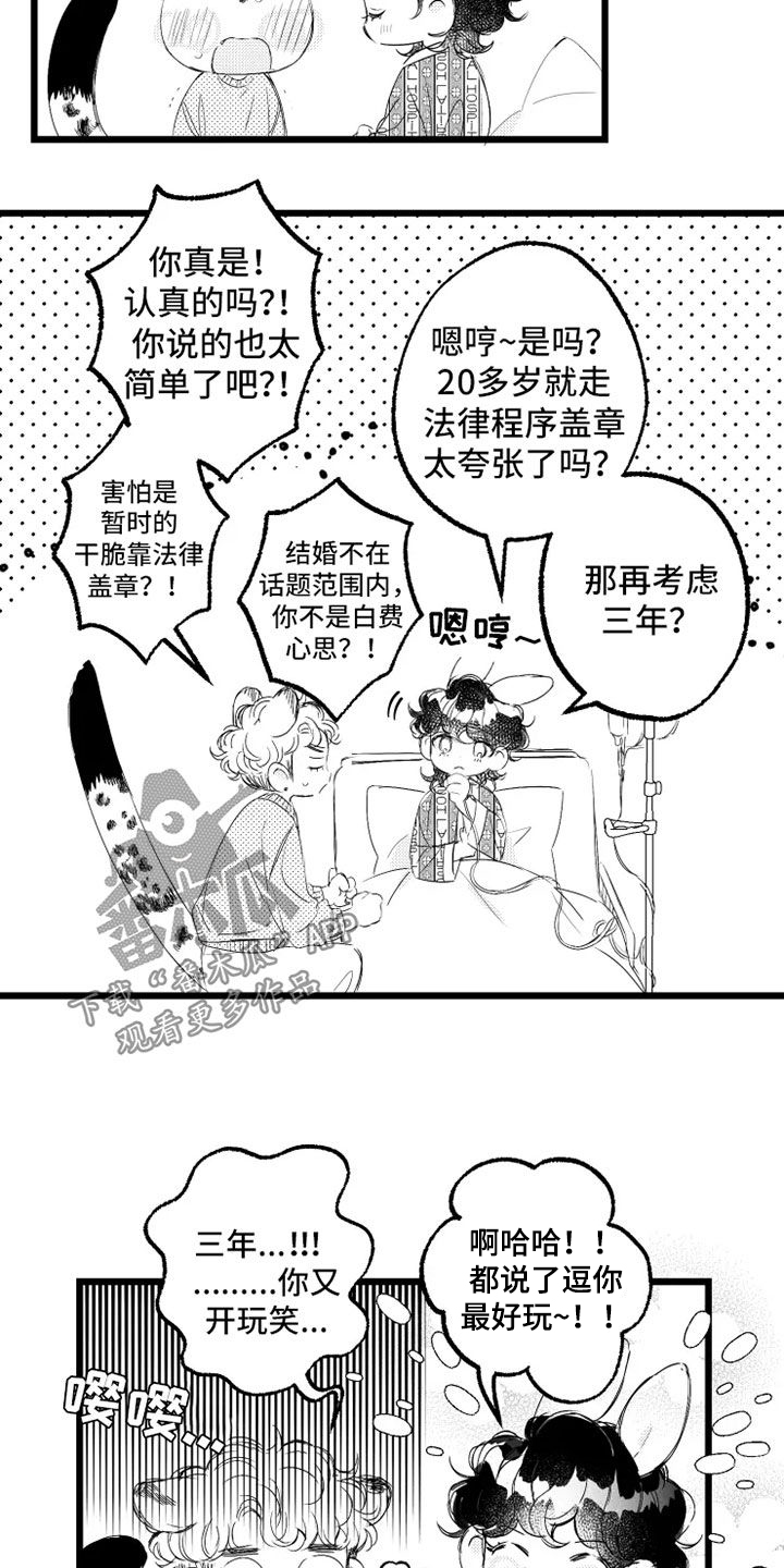 第58章：小爱出生11
