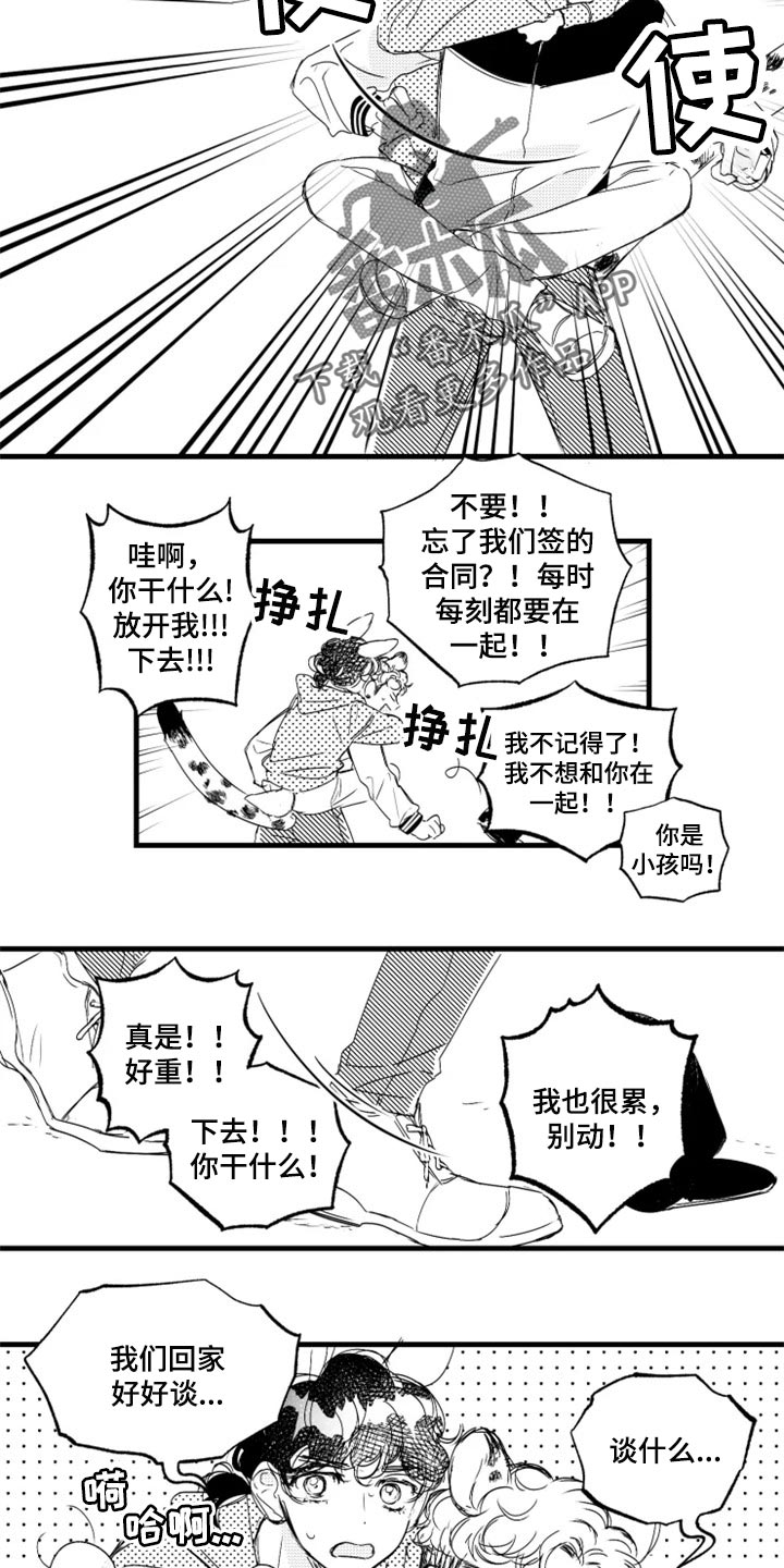 第18章：别跟着我10