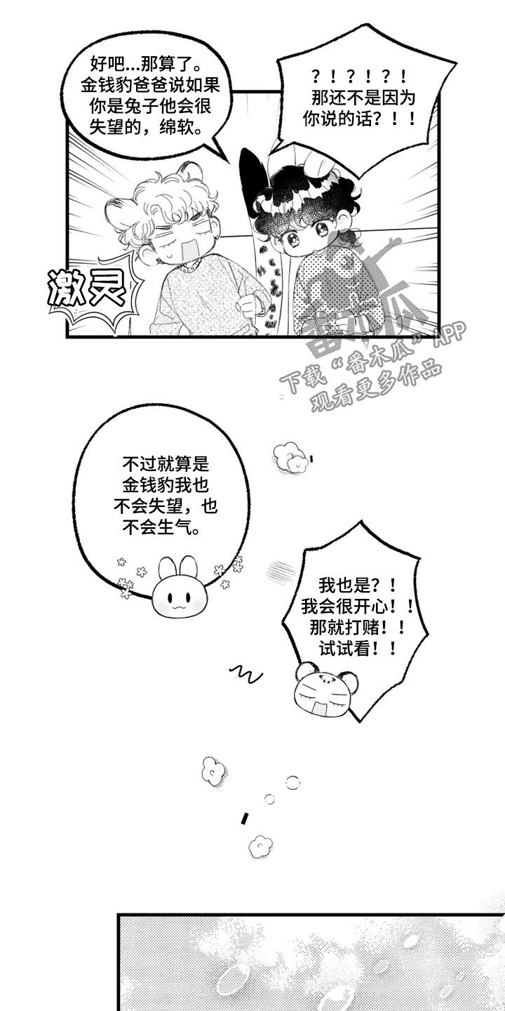 第53章：赌局13