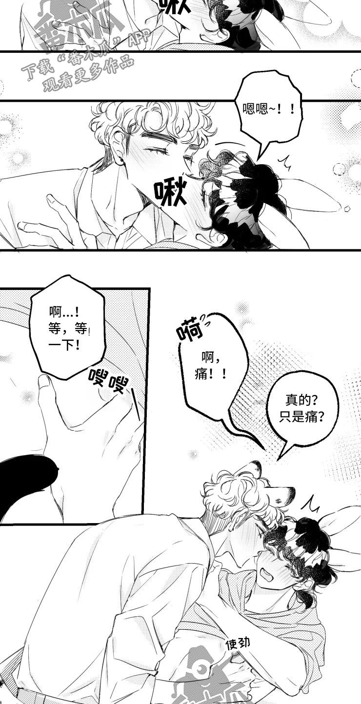 第47章：选修课13