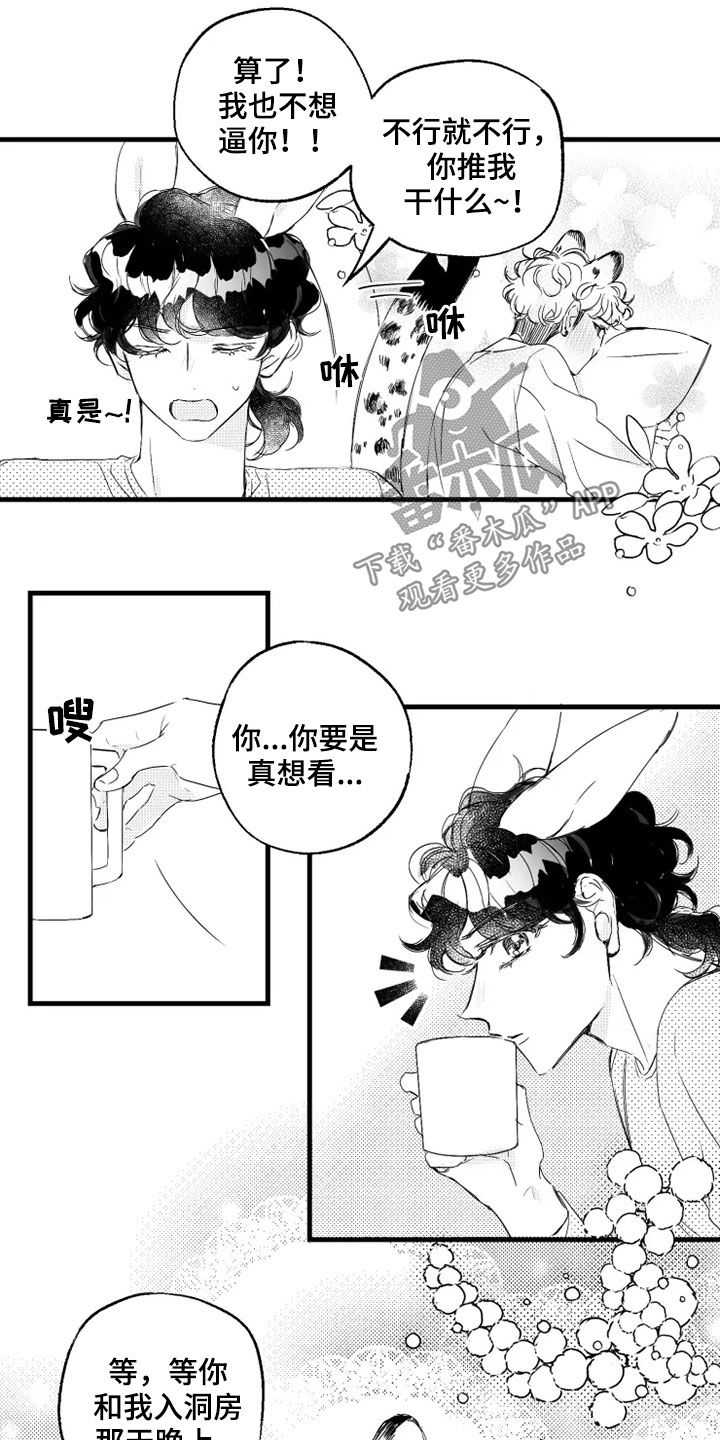 第44章：原型5