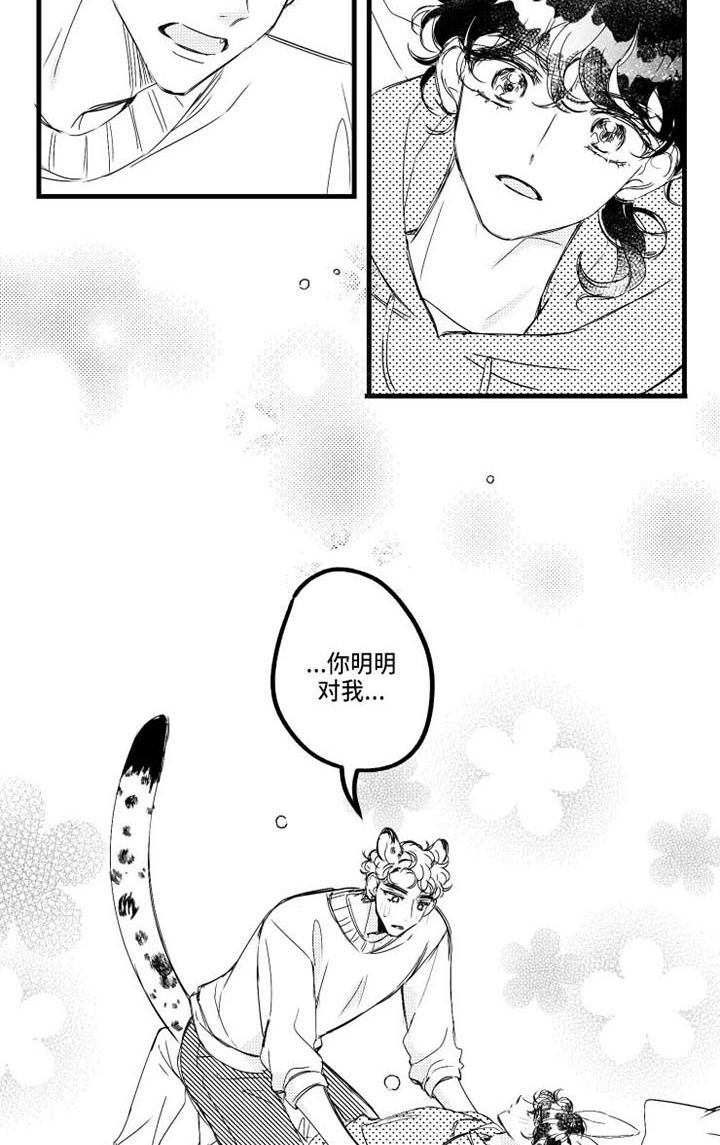 第16章：桌游14