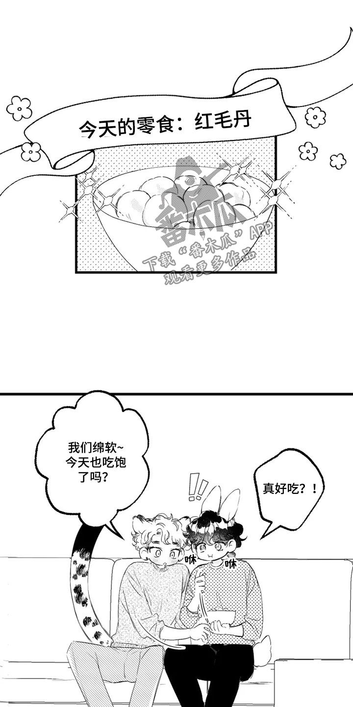 第53章：赌局4