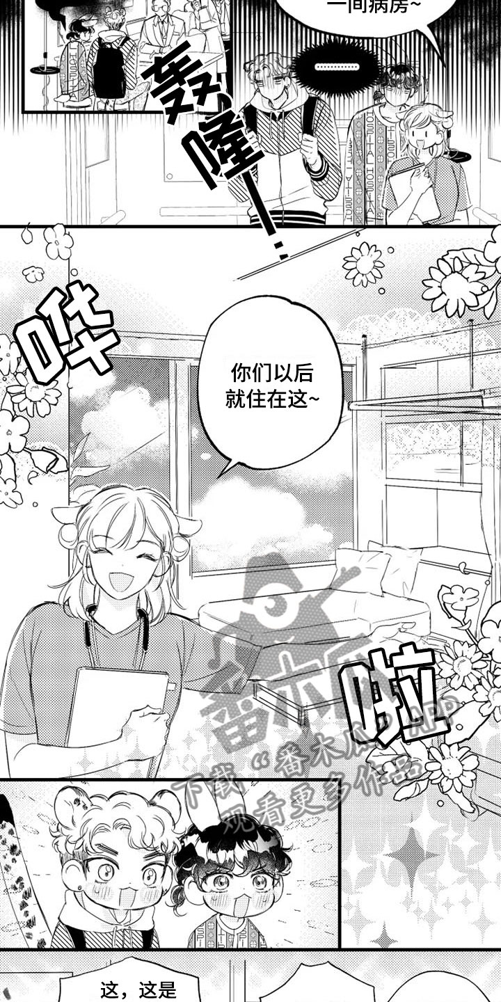 第5章：奇迹11