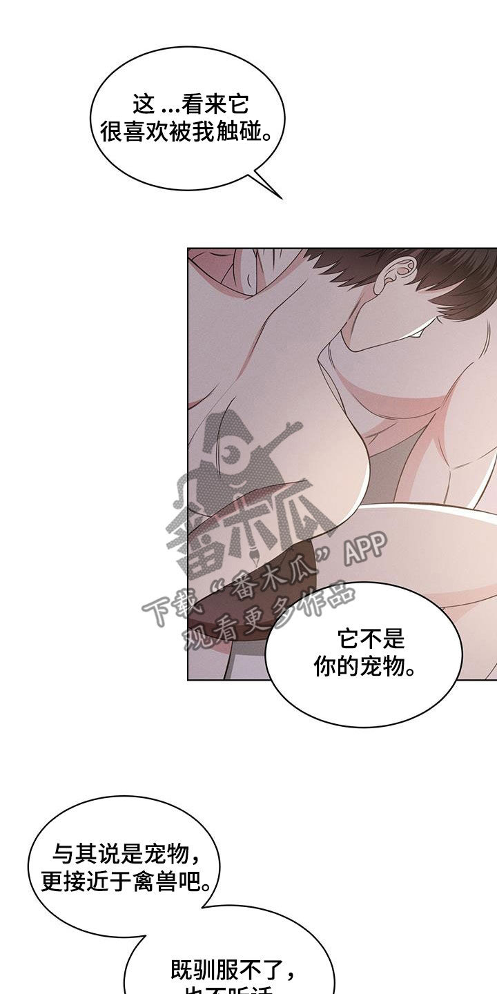 第47章：挑衅19