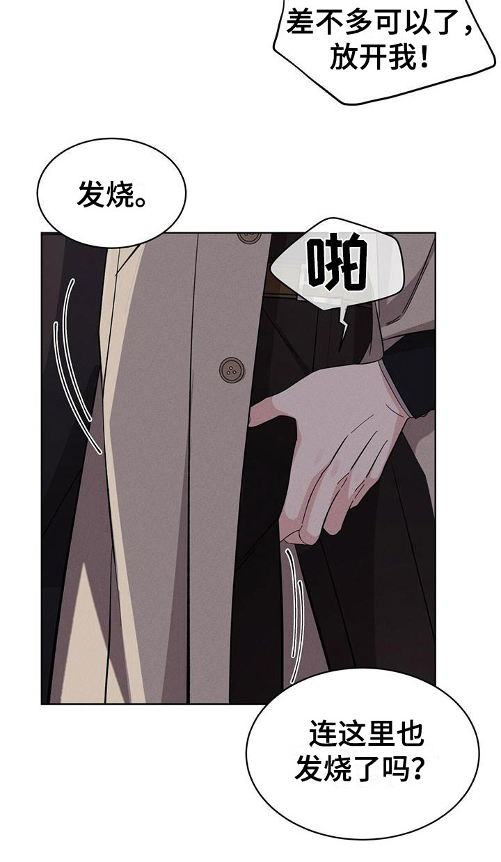 第17章：抓住了19