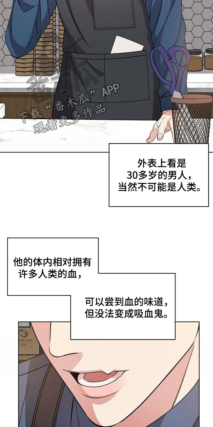 第37章：幻影族13