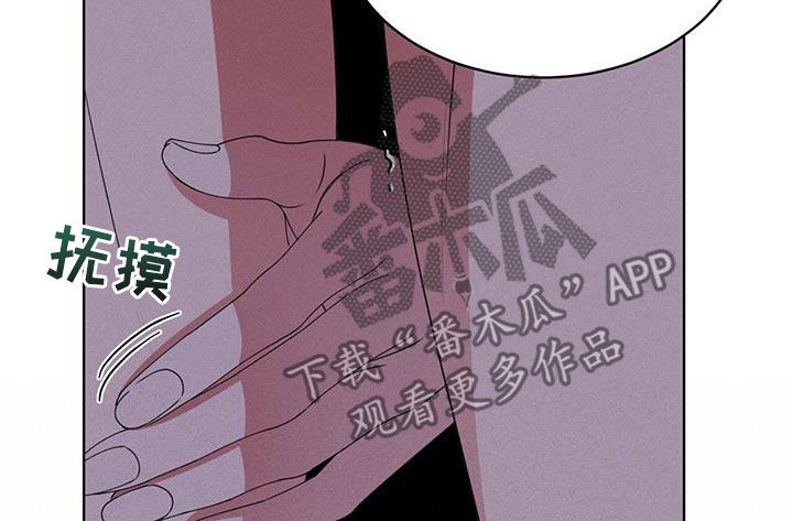 第47章：挑衅8