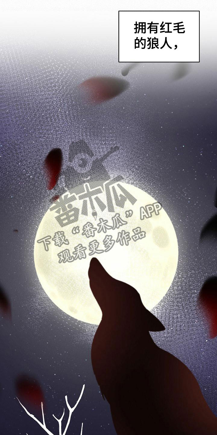 第16章：追击目标18
