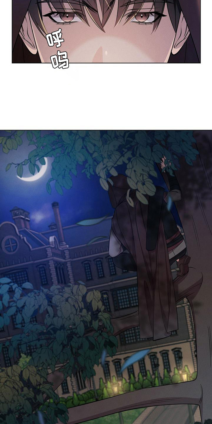 第1章：夜袭6