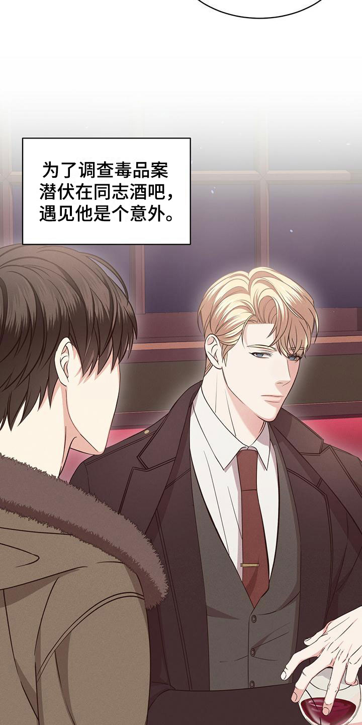 第14章：特别15