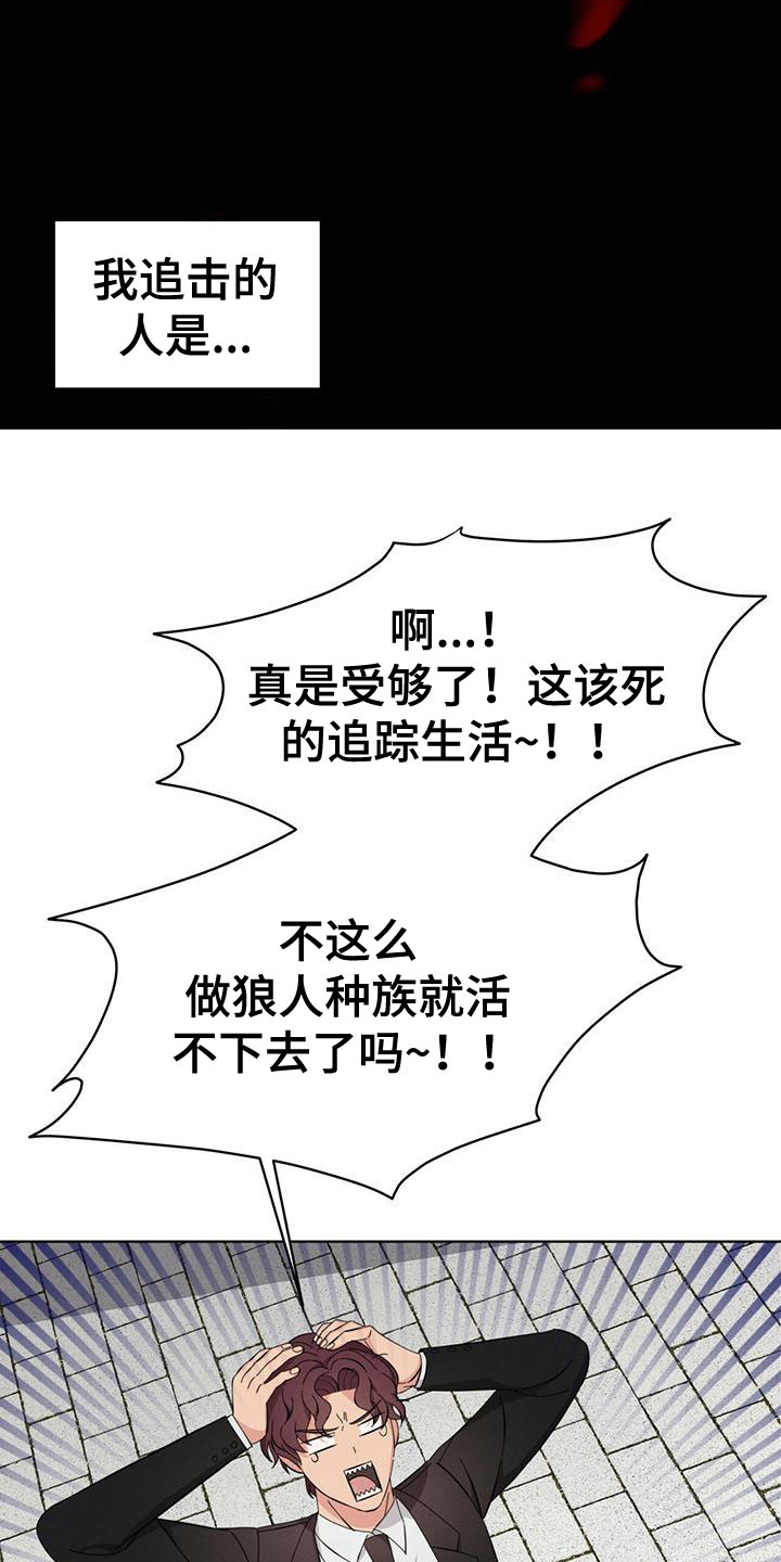 第16章：追击目标20