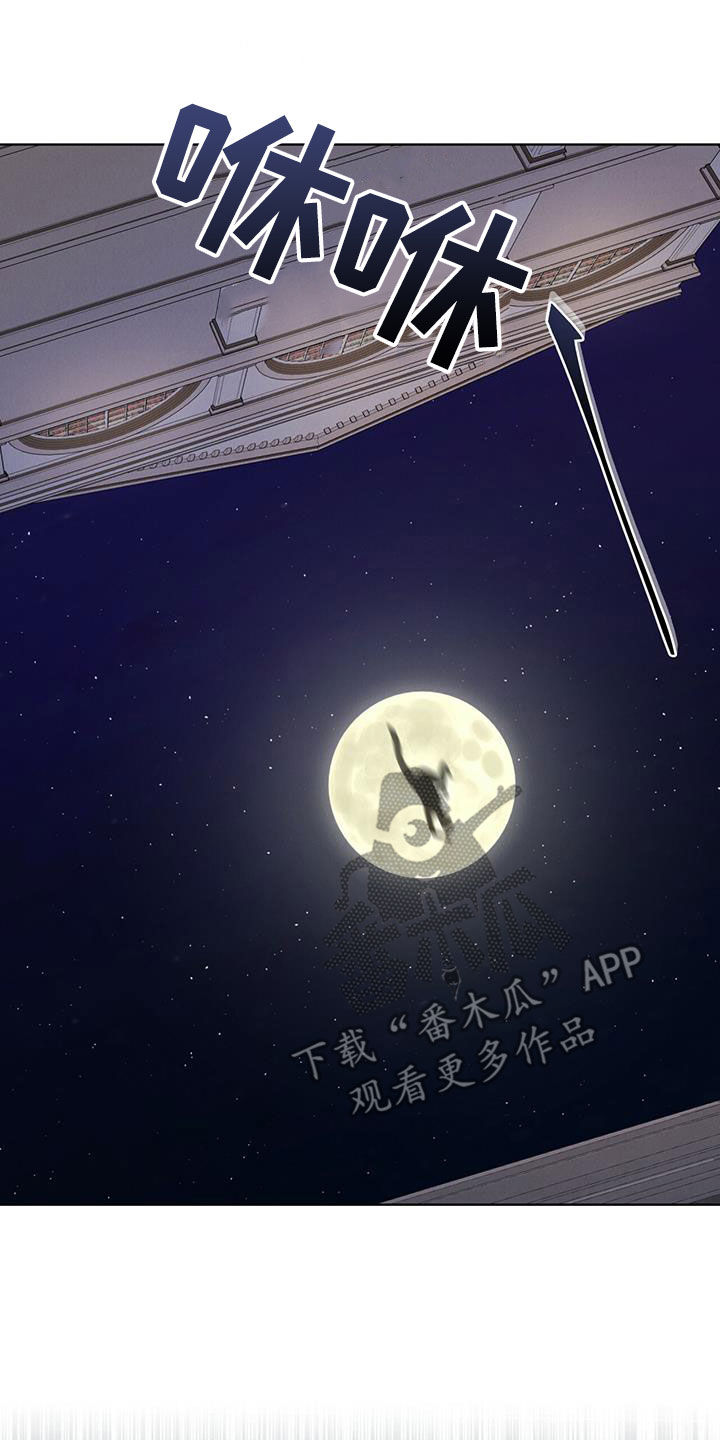 第19章：逃脱11