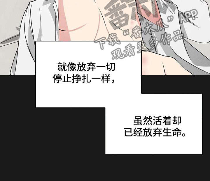 第43章：家17