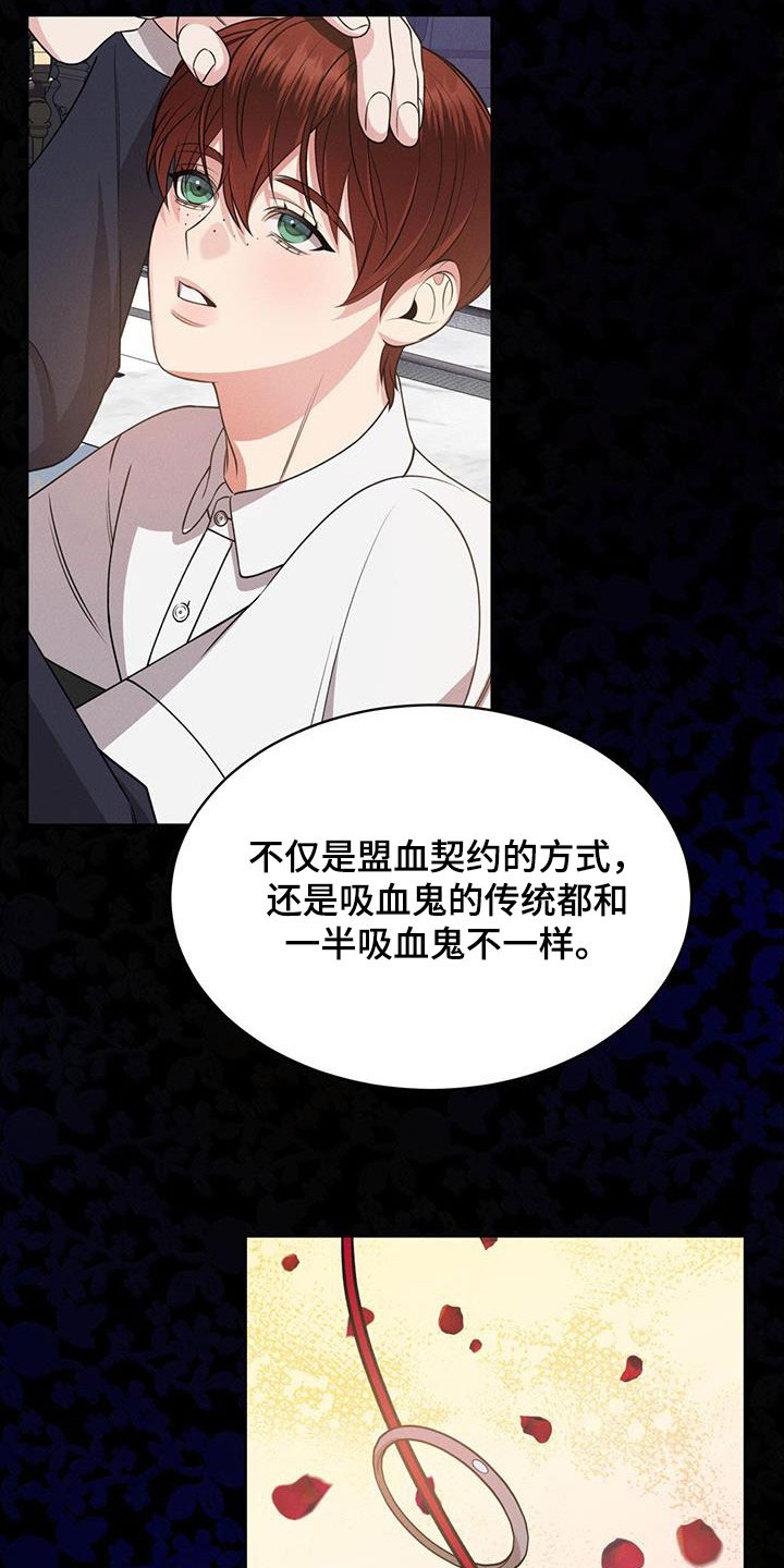 第37章：幻影族25