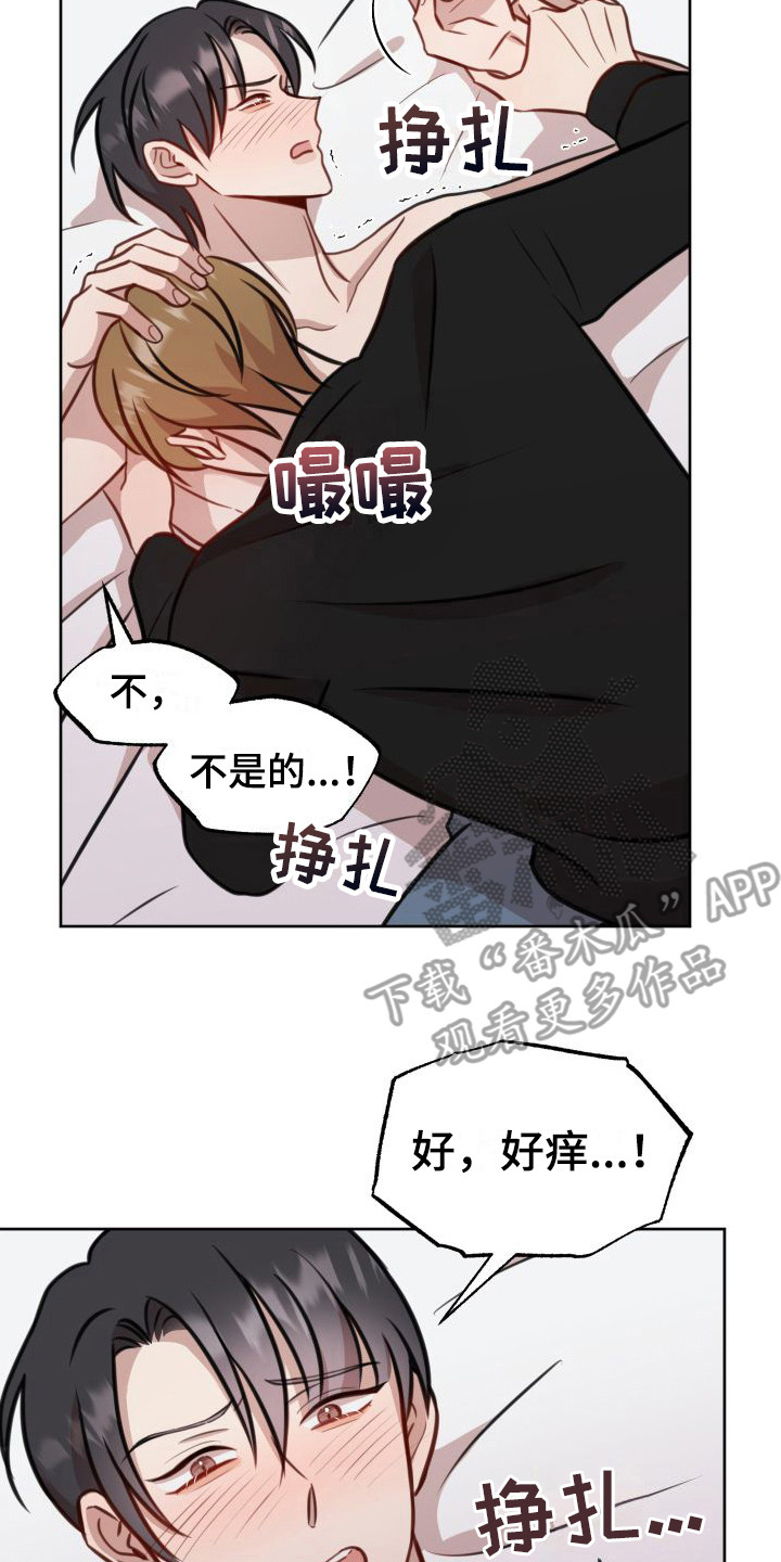 第22章：确定关系 16