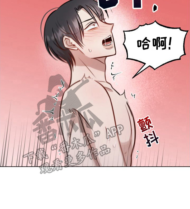 第16章： 很满意15