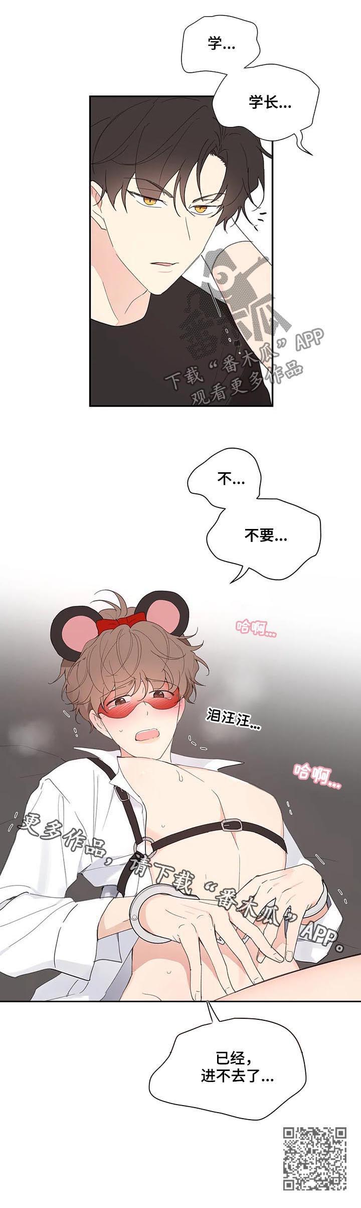 第64章：体验17
