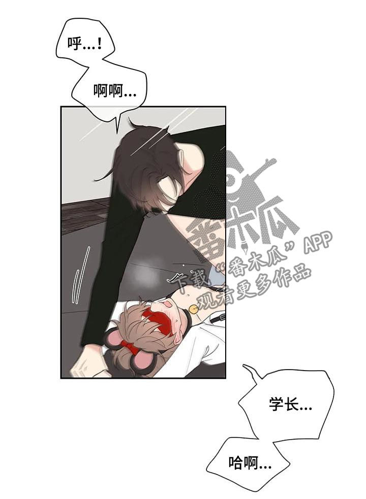 第66章：期待一次11