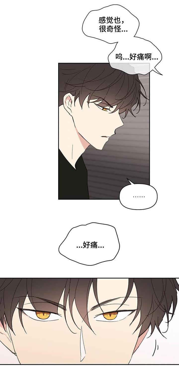 第65章：你需要的12