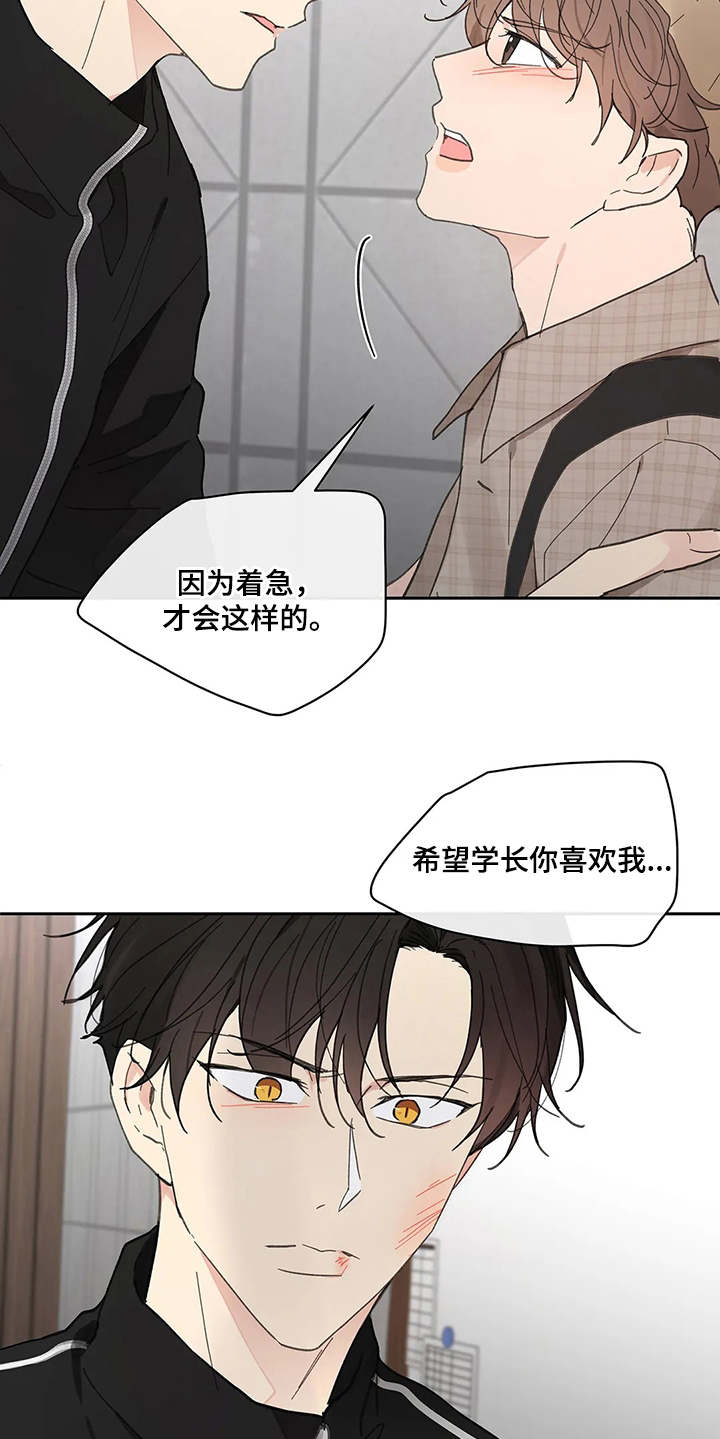 第142章：【番外】想要挽回21