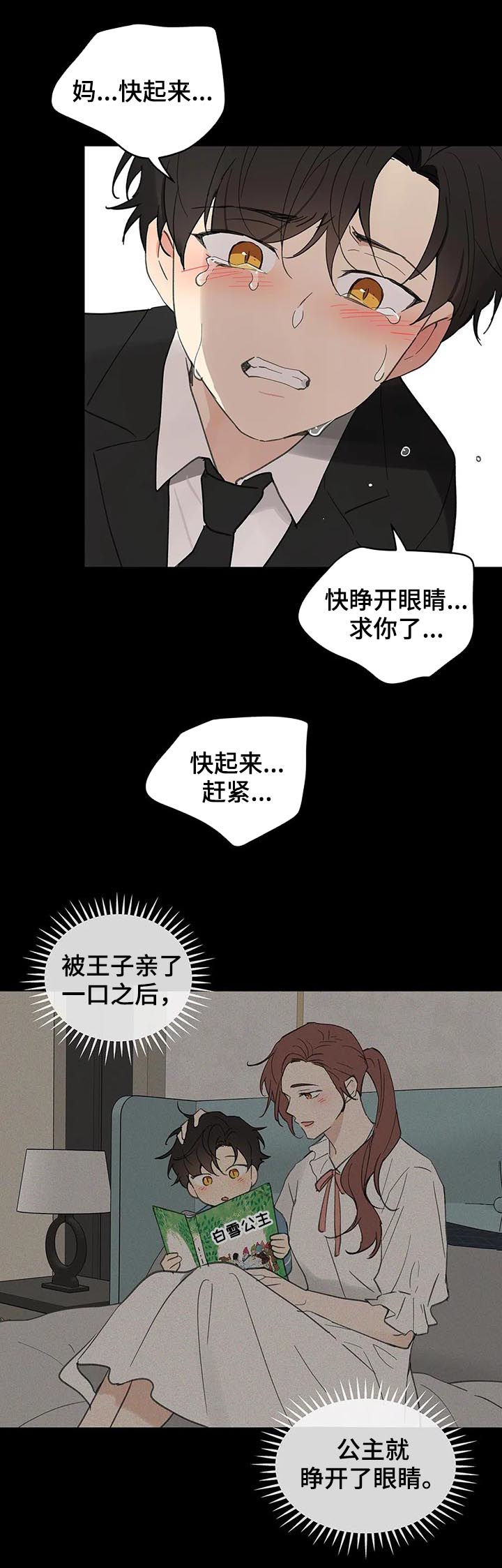 第118章：记忆17